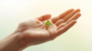 子供の頃に決めた決断